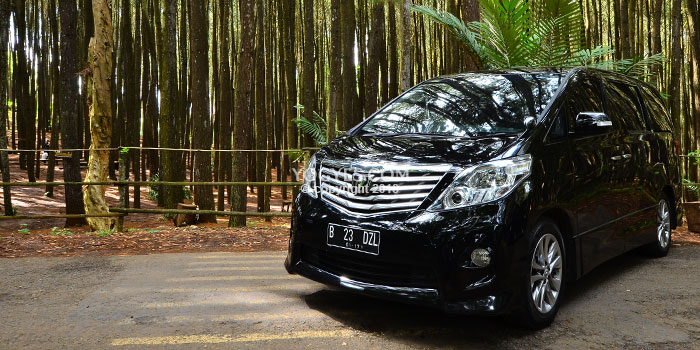 sewa alphard jogja