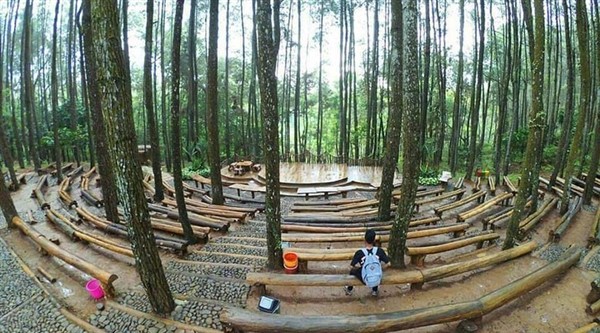 Hutan pinus Mangunan