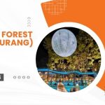 HeHa Forest Kaliurang